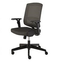 Klein Ergonomic Task Chair