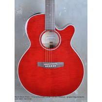 Takamine EG440CSTRY Acoustic Electric Guitar TC10083443