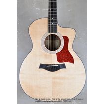 Taylor Acoustic