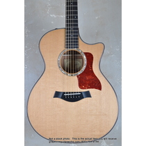 Taylor 514ce Acoustic Electric Guitar 1110111054