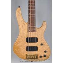 Washburn XB925 Bantam USA 5 String Bass 9601001