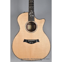 Taylor 914CE Acoustic Electric Guitar 1101112103