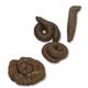 A Bag of Poop