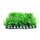 Plain Grass Patch