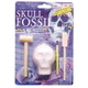 Skull Fossil Kit