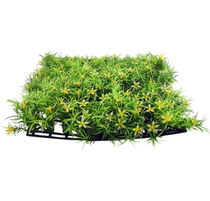 Grass Patch w/Flowers