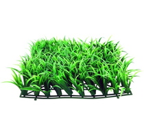 Plain Grass Patch