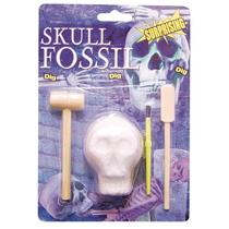 Skull Fossil Kit